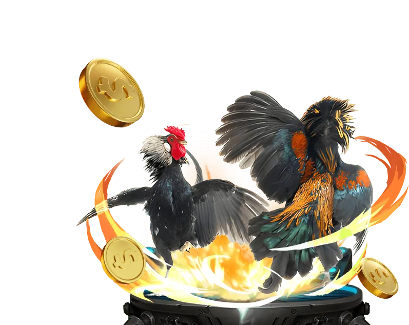 Cá cược trực tiếp 3in1bet